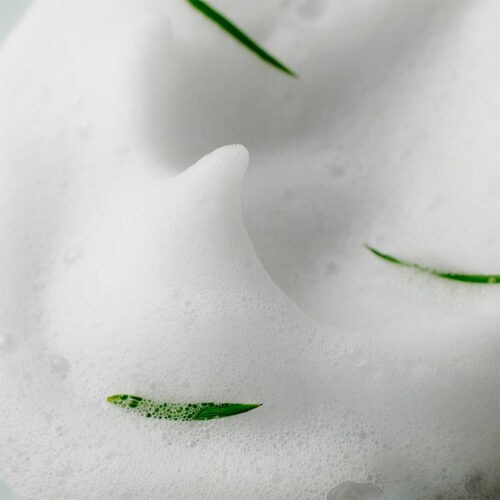 [SOMEBYMI] Aha-Bha-Pha 30 Days Miracle Acne Foam 100ml - Imagen 6